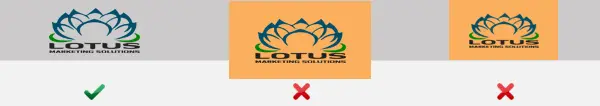 Transparent Logo Example