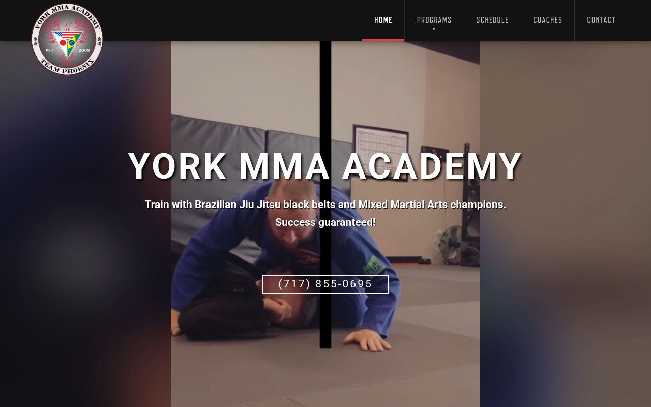 Website preview of York MMA Academy